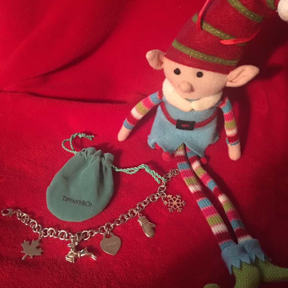 EUC - Tiffany and Company Seasonal Charm Bracelet